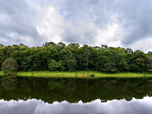 thekkady