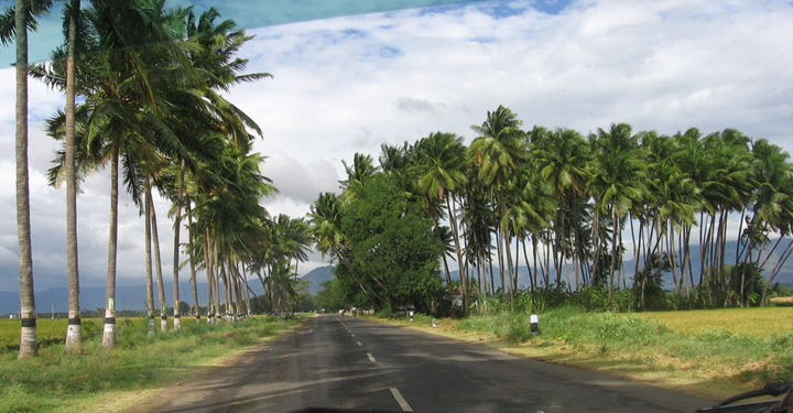 Thekkady
